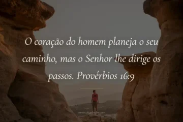 versiculo do dia provérbios 16-9