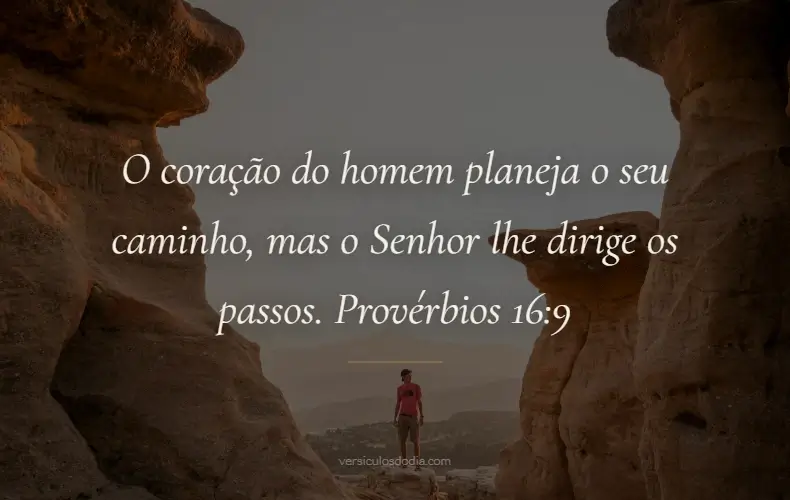 versiculo do dia provérbios 16-9