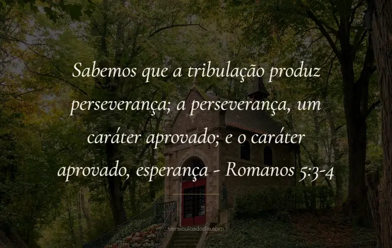 versiculo do dia romanos 5-3-4