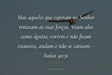 versiculo do dia Isaias 40-31