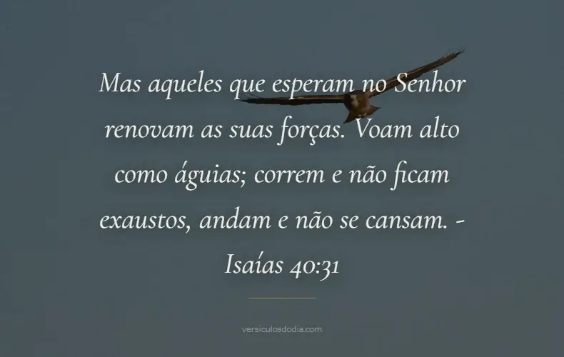 versiculo do dia Isaias 40-31