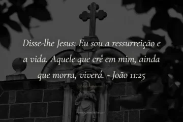 versiculo do dia João 11-25