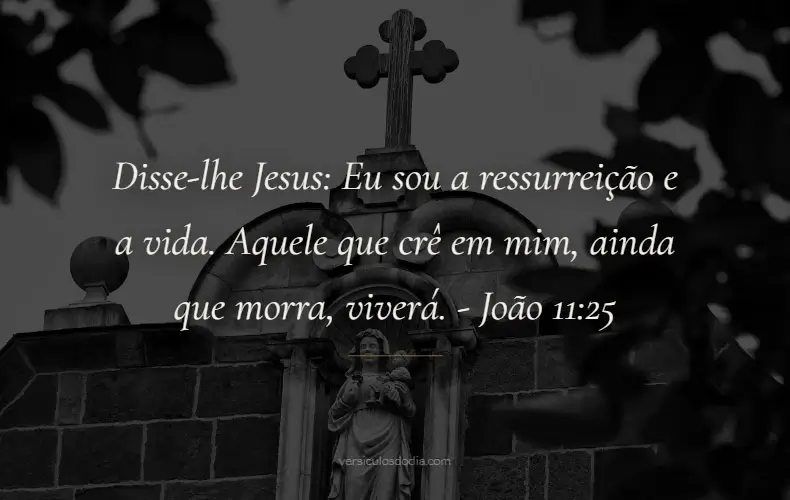 versiculo do dia João 11-25