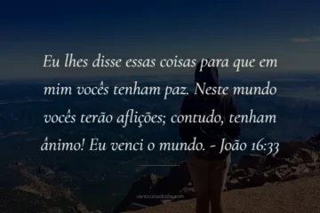 versiculo do dia João 16-33
