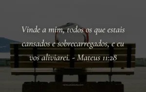 versiculo do dia Mateus 11-28
