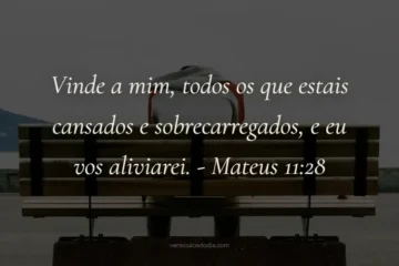 versiculo do dia Mateus 11-28
