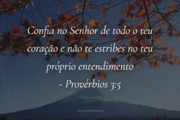 versiculo do dia provérbios 3-5