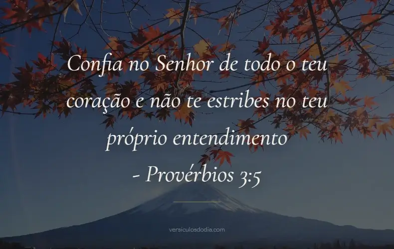 versiculo do dia provérbios 3-5